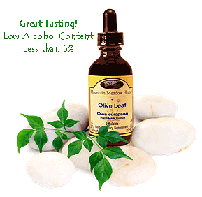 Olive Leaf Liquid Extract